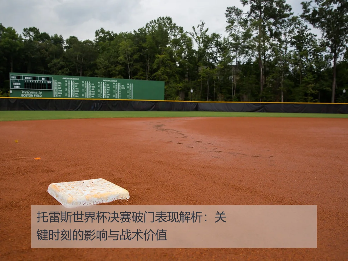托雷斯世界杯决赛破门表现解析:关键时刻的影响与战术价值